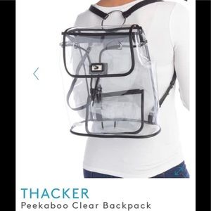 🔥CLEARANCE🔥 Thacker Peekaboo Clear Backpack